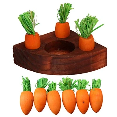 Image of Small Animals Hamster Activity Toys Carrot Toy &#039;n&#039; Treat Holder &amp; 9 Wooden Carrots