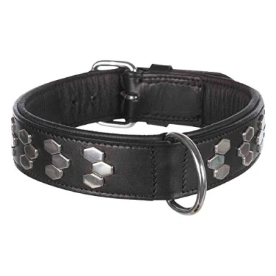 Image of Active collar with studs