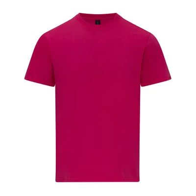 Image of Gildan Unisex Adult Softstyle Midweight T Shirt (XL) (Heliconia)