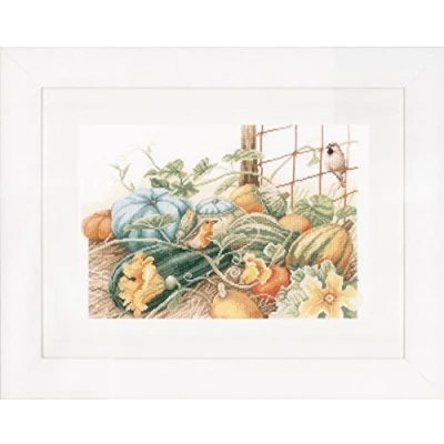 Image of Lanarte PN 0147539 Pumpkins Aida, Pack of 1