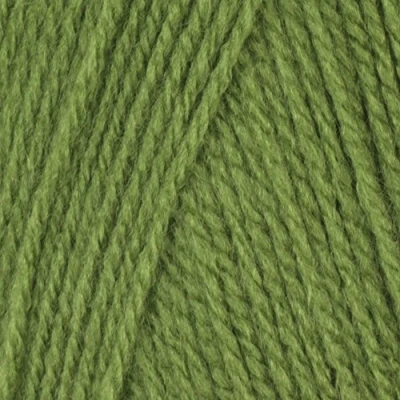 Image of Robin DK Double Knitting Acrylic Yarn / Wool 100g 016 Apple