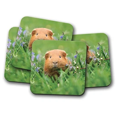 Image of 4 Set Cute Guinea Pig Coaster Ginger Rodent Animal Piglet Fun #8558
