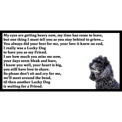 Image of Poodle Memorial Dog bereavement pet loss Flexible Fridge Magnet Lucky