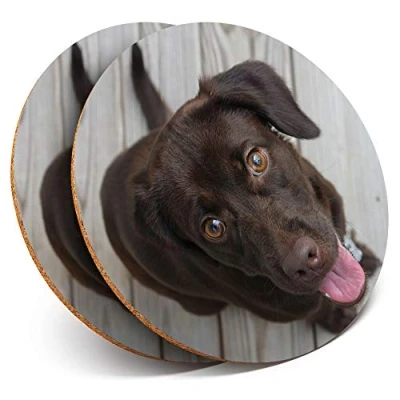 Image of 2 x Round Coasters Chocolate Labrador Dog Puppy Cork Backed Home Kitchen Accessory Tea Coffee Mug Mat #14281