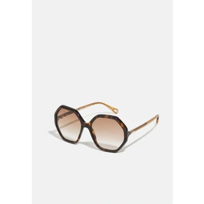Image of CHLOÉ Sunglasses, Women&#039;s, Size: 58, Havana/brown