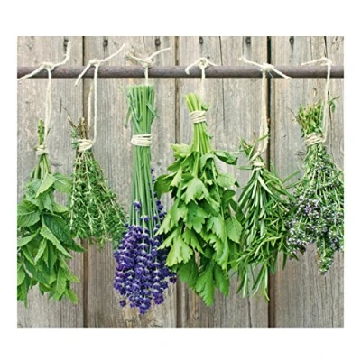 Image of Zeller &quot;Herbs Splash Guard/Stove Top Cover, Multi Colour