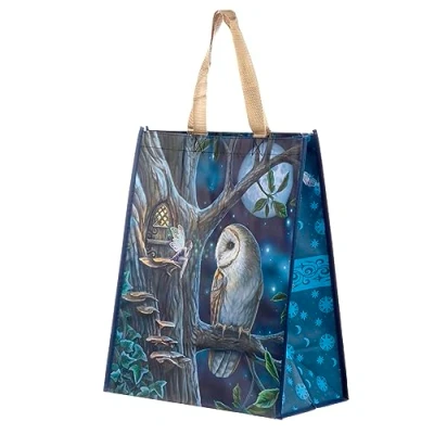 Image of Puckator Lisa Parker Fairy Tales Owl and Reusable Shopping Bag Shoulder Bags Big Foldaway Handbags for Women Canvas Tote Hand Large Ladies Aesthetic Stuff