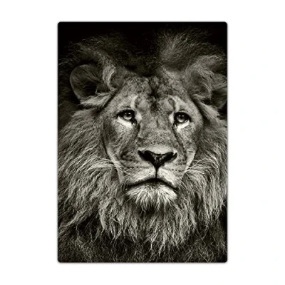 Image of Passport Holder Cover, PU Leather Travel Wallet Case Organiser for Passport, Business Cards, Credit Boarding Passes (Lion 1)