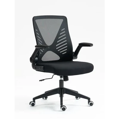 Image of BiGDUG Buxton Adjustable Mesh Office Chair Lumbar Support &amp; Armrests Medium Back Foldable Under Desk (Black)