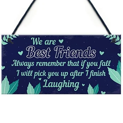 Image of RED OCEAN Funny Best Friend Sign Friendship Gift Hanging Thank You Novelty Birthday Chic Plaque