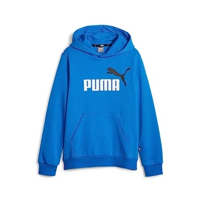 Image of PUMA ESS+ 2 Col Big Logo Hoodie FL B