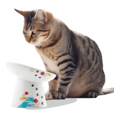 Image of Necoichi Extra Wide Raised Cat Food Bowl, Elevated, Prevent Neck &amp; Whisker Fatigue, Dishwasher and Microwave Safe, No.1 Seller in Japan! (Fuji Limited Edition, Tilted)