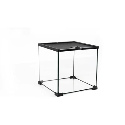 Image of Prorep Mini Terrarium 310 X 300mm Glass Spider Tank Stick Insect Snail Enclosure Small Reptile Invertebrates Amphibians