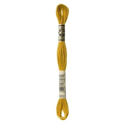 Image of DMC Stranded Cotton Embroidery Thread 3852 per Skein