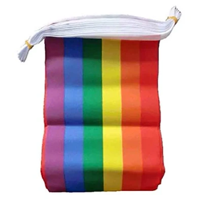 Image of Henbrandt 7 Metre Rainbow Bunting Gay Pride w/ 24 Rectangle Flags
