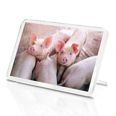 Image of 1 x Cute Pink Pig Farm Animal Fun Classic Fridge Magnet Kitchen #2325