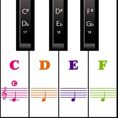 Image of MUYOS Piano Stickers for 54/61/76/88 Key Keyboards [Transparent and Removable] Full Set White Black Keys (Full Color)