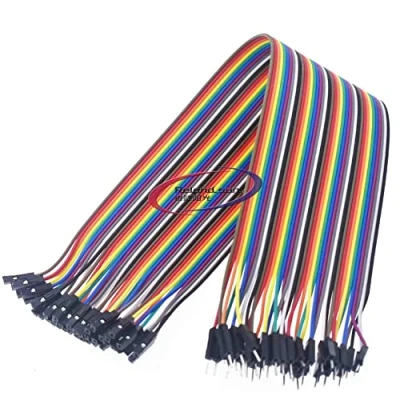 Image of Reland Sun 10cm 20cm 30cm 2.54mm Jumper Wires Cables male to female (30CM female)