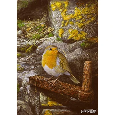 Image of Bird greeting card. Robin at Home by Dick Twinney