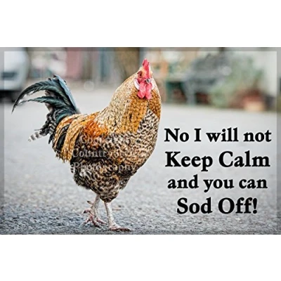 Image of Chicken Cockerel Funny Fridge Magnet for Hen Owner