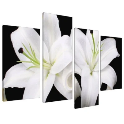Image of Large Floral Black White Orchids Canvas Wall Pictures Prints Art 4128
