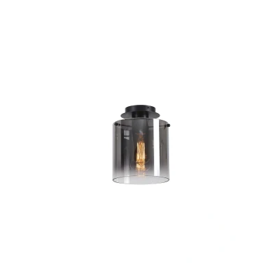 Image of Sweden 1 Light Flush Ceiling Matt Black &amp; Smoked Glass