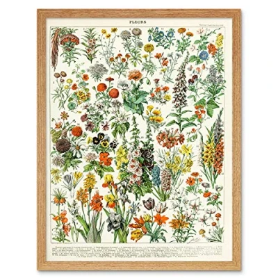 Image of Artery8 Millot Encyclopedia Page Flowers Plants Art Print Framed Poster Wall Decor 12x16 inch