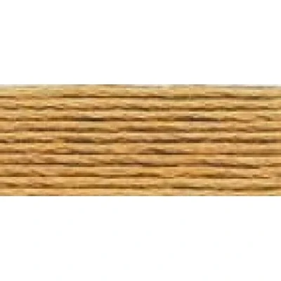 Image of DMC Embroidery Floss, Cotton, # 3828 Brown, 8 m