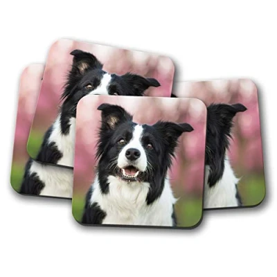 Image of 4 Set Beautiful Border Collie Coaster Sheepdog Dog Puppy Farm #15115
