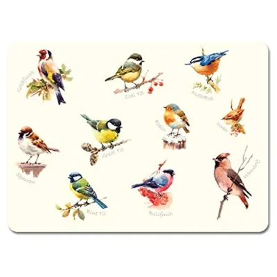 Image of Garden Birds Melamine Placemats Set 1, Pack of 6