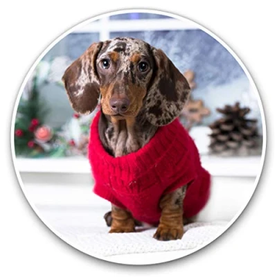 Image of 2 x Heart Stickers 10 cm Dachshund Puppy in Red Jumper Fun Decals for Laptops,Tablets,Luggage,Scrap Booking,Fridges #16284