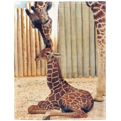 Image of YISUMEI Soft Fleece Blanket Giraffe,150 x 200 cm Throw Suitable for Bed or Sofa