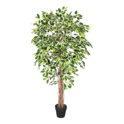 Image of HOMESCAPES 6 Feet Ficus Tree Variegated Real Wood Stems and Lifelike Leaves Replica Artificial Plant