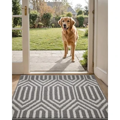 Image of DEXI Indoor Doormat, Non Slip Absorbent Resist Dirt Entrance Rug, 20x32 Machine Washable Low Profile Inside Floor Door Mat