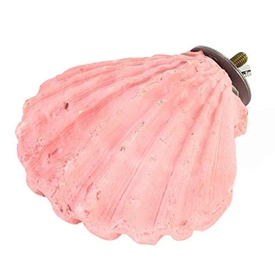 Image of Edible Calcium Clam Parrot Perch for Birds Like Budgie, Budgie Mineral Block, Toys African Grey Perch, Perches (11 x 10.5 5 centimetres)