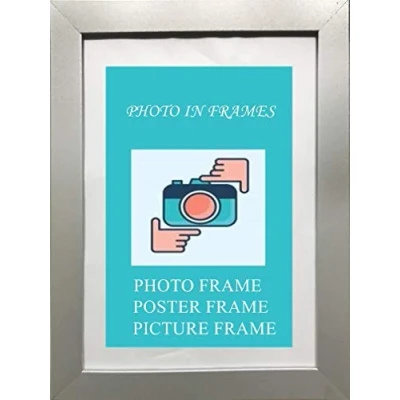 Image of Photo, poster, Picture Frames Black White Silver Oak (Silver, 30&quot; X 20&quot;)