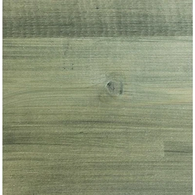 Image of Protek Shed and Fence Stain Light Green 5 litres