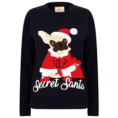 Image of Tokyo Laundry Women’s Secret Santa Dog Motif Novelty Christmas Jumper in Ink 12