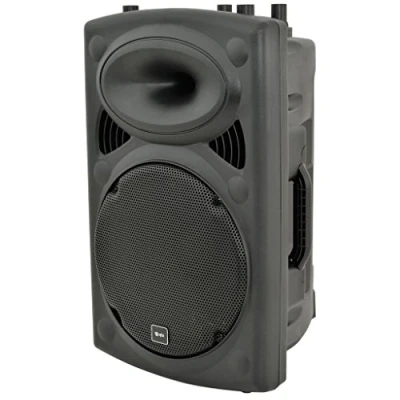 Image of 300W Active Speaker with Built In Amplifier and Input Section