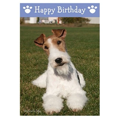Image of Wire Haired Fox Terrier, Dog Birthday Card