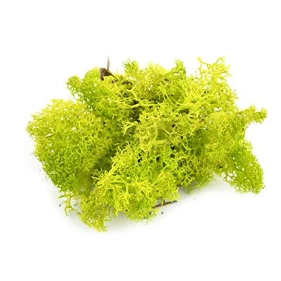 Image of War World Scenics Lichen Light Green Moss Model Foliage 100g Railway Wargame Scenery Landscape Modelling Trees Bushes Hedges Diorama Basing Material