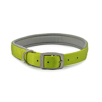 Image of Ancol Padded Viva Collar with Buckle Lime 50 59 cm Size 7 XL