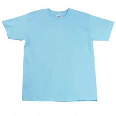 Image of Fruit of the Loom Mens Super Premium Short Sleeve Crew Neck T Shirt (2XL) (Sky Blue)
