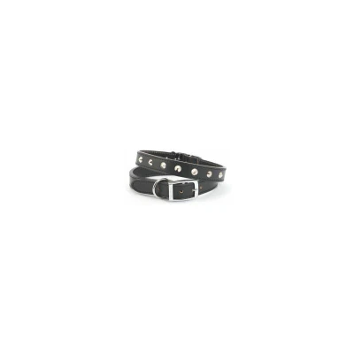Image of Ancol Comfortable Stylish Leather Black Stud Collar Pet Training Accessory 45 54 cm, Size 6