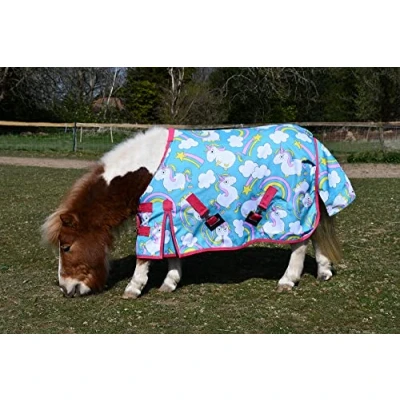 Image of Rhinegold Unicorn Torrent Outdoor Rug 4/3