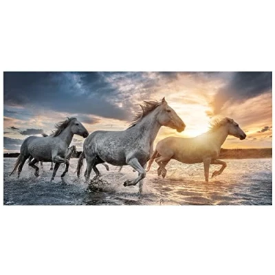 Image of Theonoi Children&#039;s Hand Towel Bath Beach Shower for Girls and Boys 100% Cotton 70 x 140 cm (Horse)