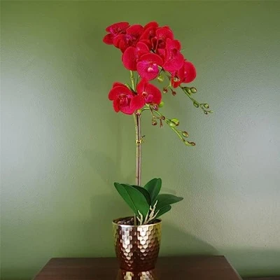 Image of 50cm Phalaenopsis Orchid Artificial Red Leopard Gold Pot
