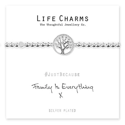 Image of Life Charms #JustBecause Family Is Everything Bracelet