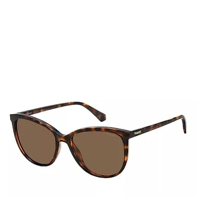 Image of POLAROID Women&#039;s PLD 4138/S Sunglasses, Havana, 55