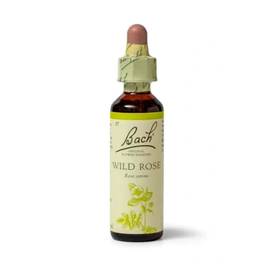 Image of Bach Original Flower Remedies (Wild Rose) Live The Day, Show Enthusiasm, Emotional Wellness, Natural Essence, 20ml